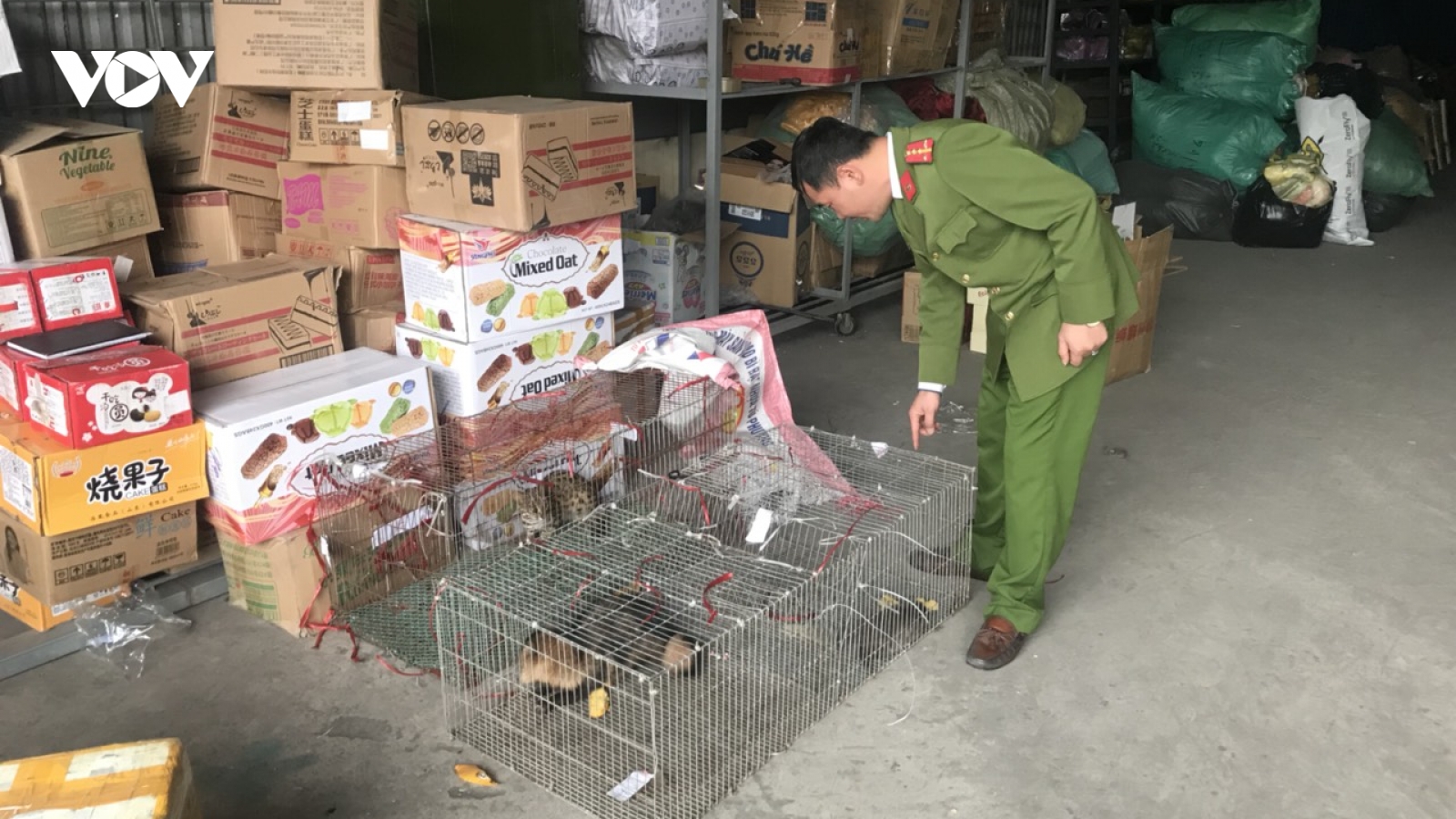 Quảng Ninh phát hiện xe ô tô vận chuyển động vật hoang dã