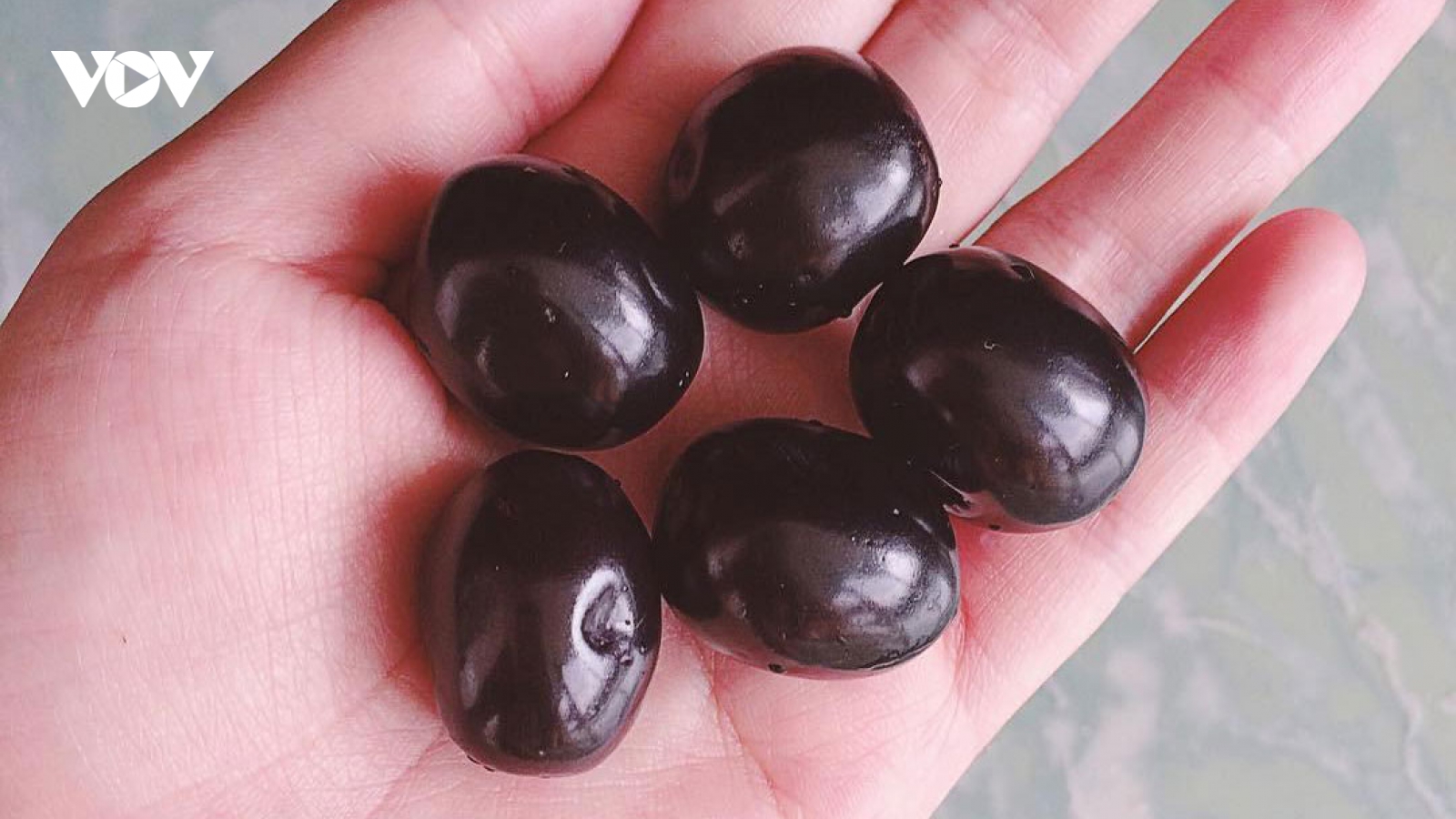 Loại quả quê lạ miệng được nhiều người thành thị lùng mua dù giá “chát”