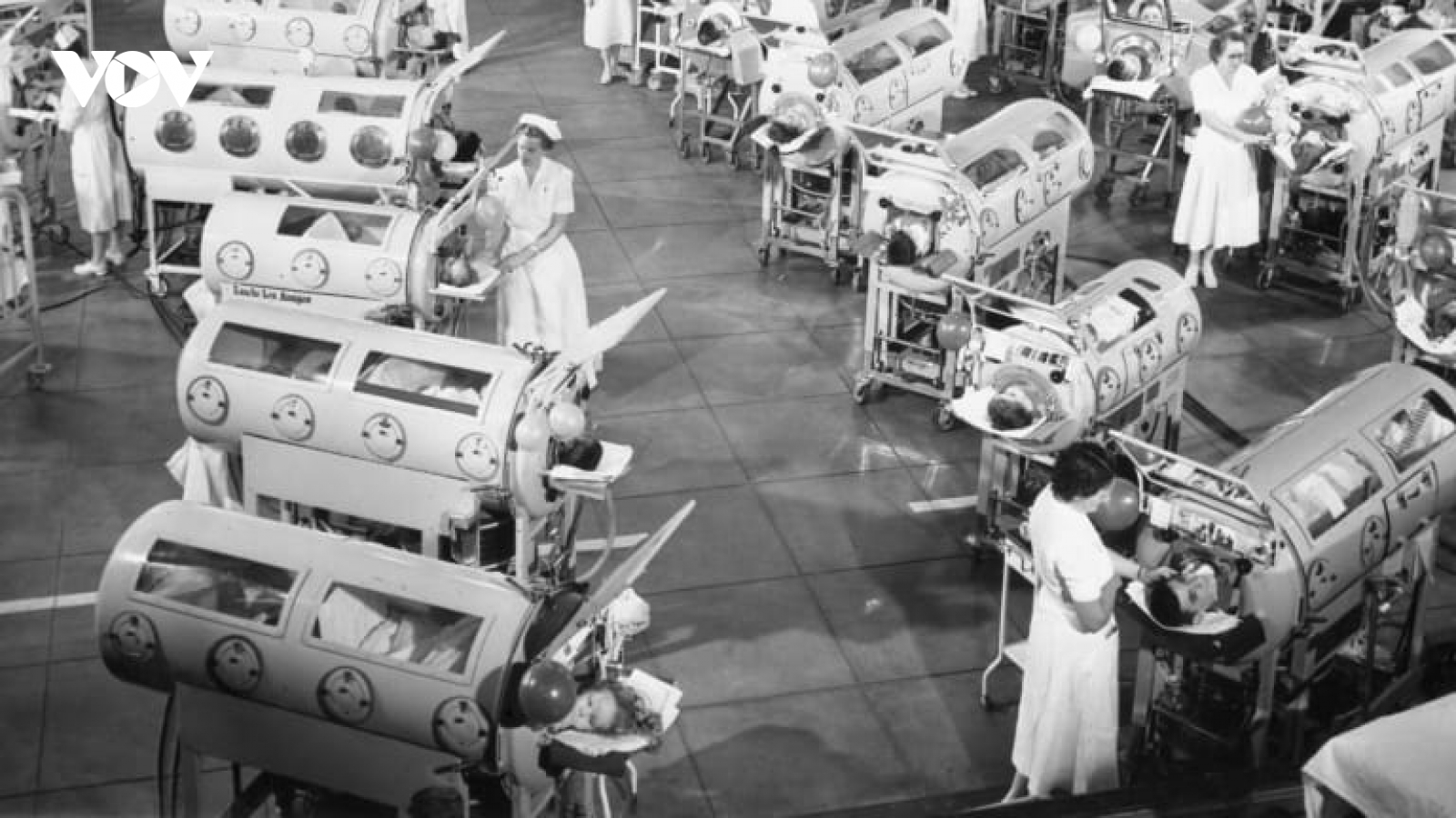 4 dịch bệnh gây chết người trong lịch sử “đi vào quên lãng” nhờ có vaccine