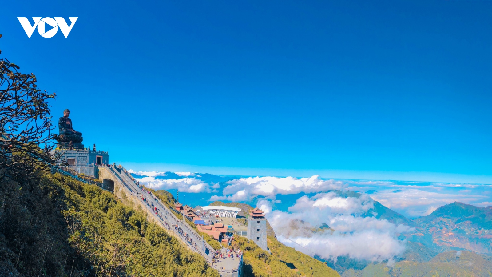 Lên Sa Pa săn mây, ngắm hoa anh đào