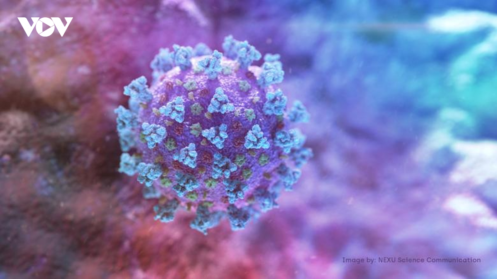 WHO: Xuất hiện biến thể mới của virus SARS-CoV-2 tại Nam Phi