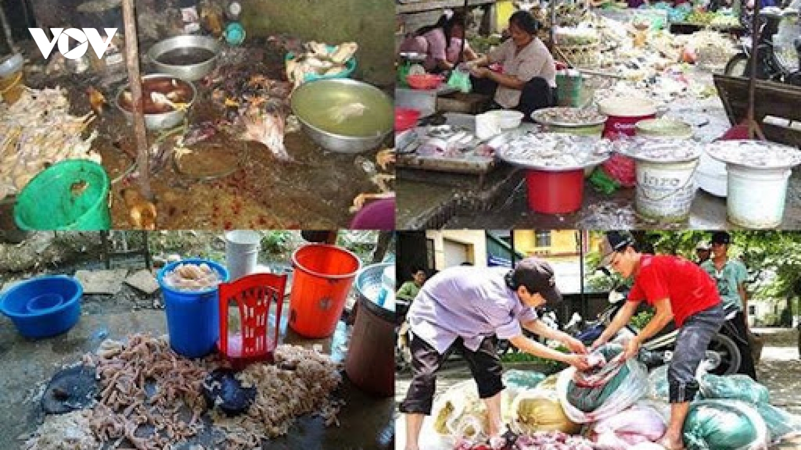 Cần hoàn thiện thông tư hướng dẫn một số quy định về an toàn thực phẩm