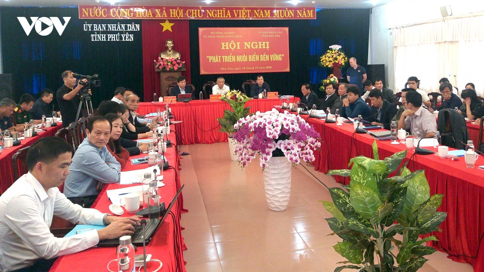 Nuôi biển chưa bền vững vì hạ tầng nghề cá còn yếu kém