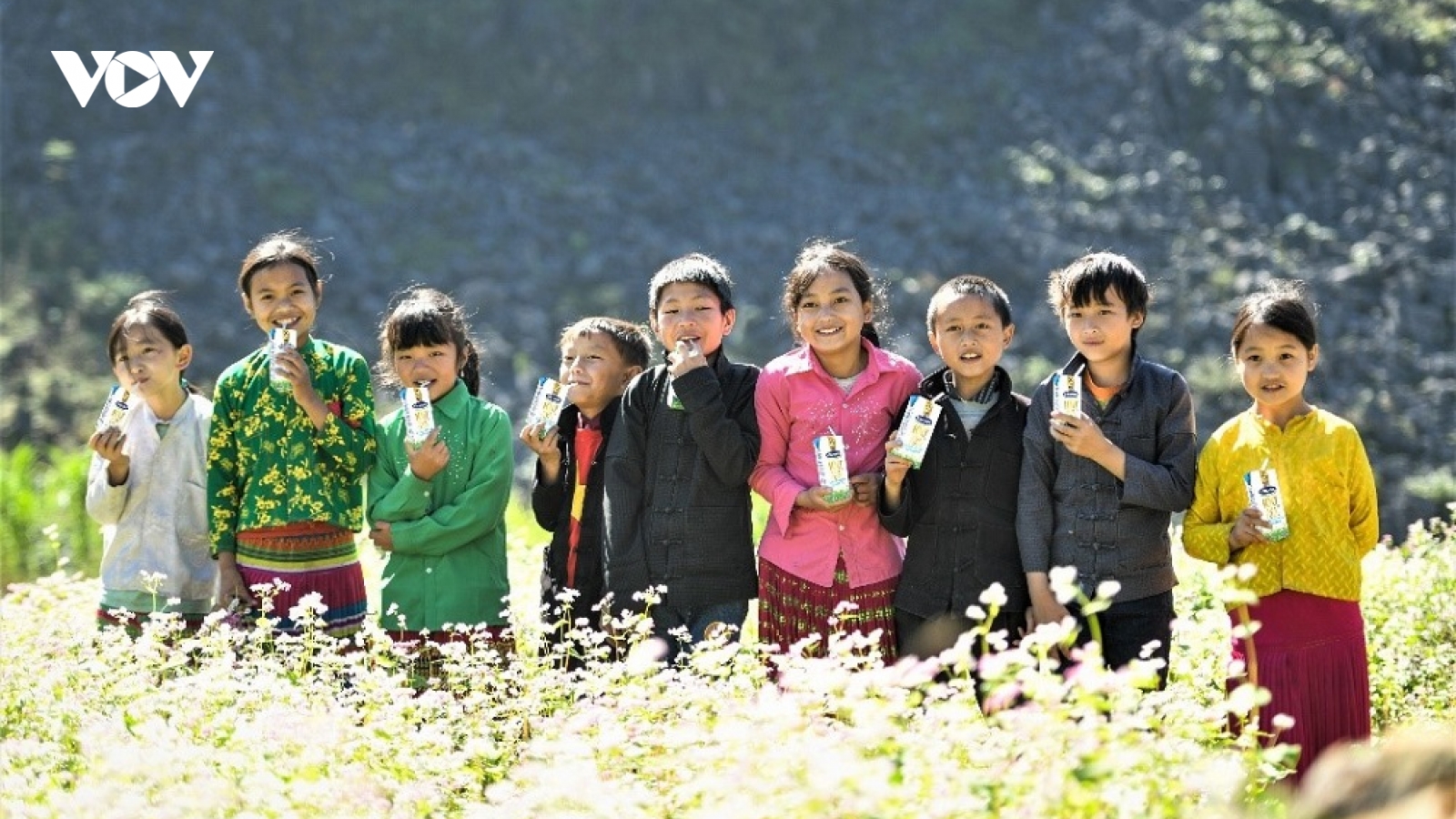 Vinamilk đồng hành cùng Cặp lá yêu thương “Trao cơ hội đi học, cho cơ hội đổi đời"