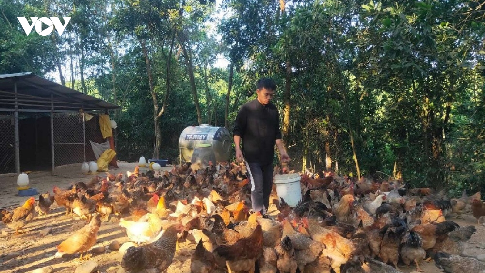 Từ tay không khởi nghiệp đến nông dân tiêu biểu nhận giải thưởng Lương Định Của
