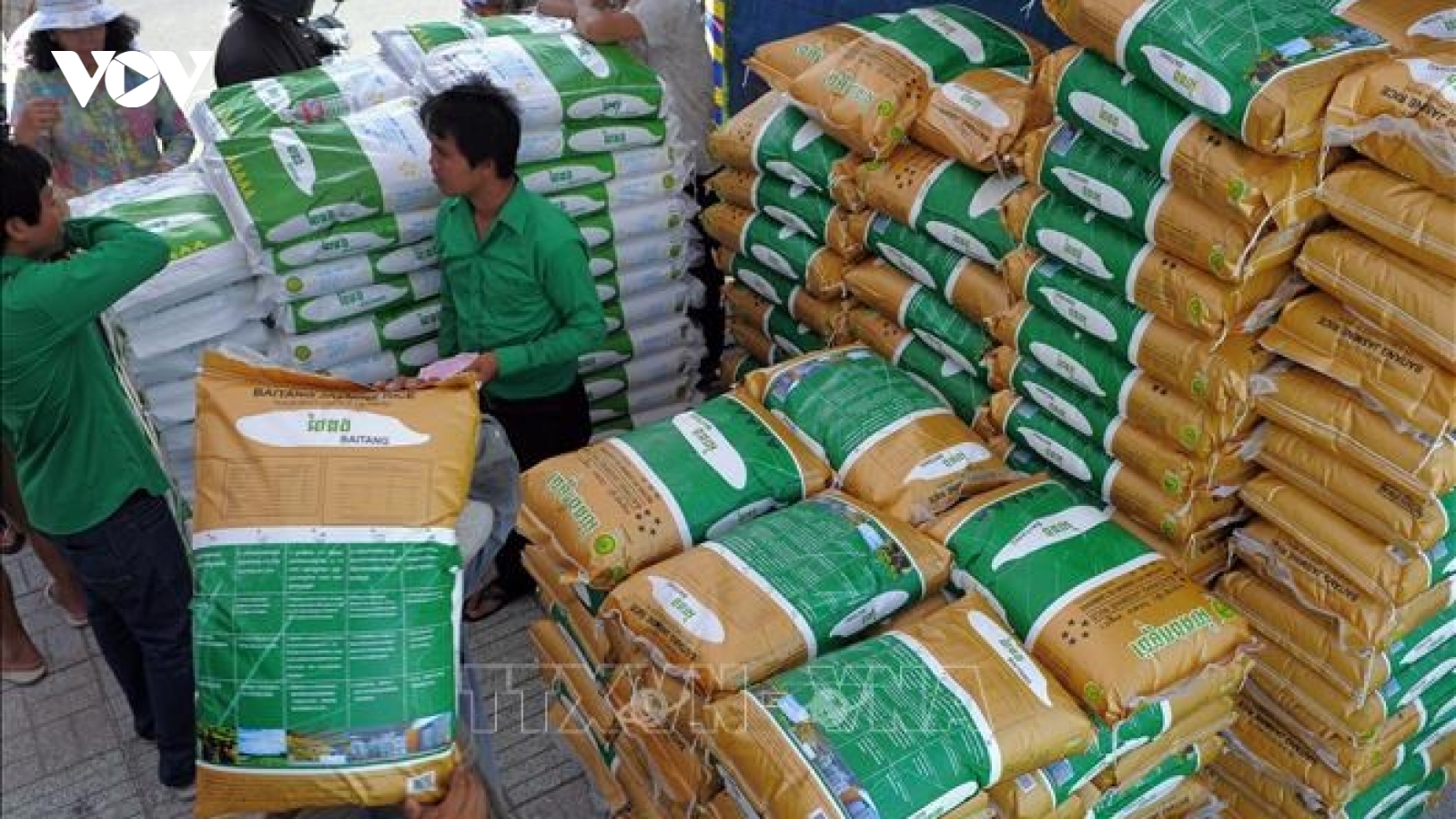 Sản lượng gạo xuất khẩu của Campuchia tăng mạnh