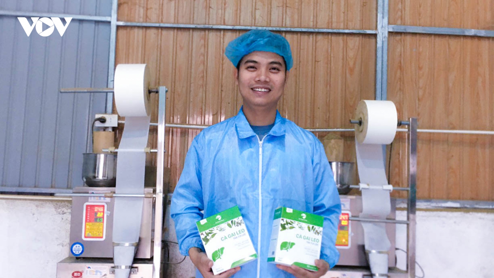 Chàng trai xứ Nghệ kiếm tiền tỷ từ cây cà gai leo