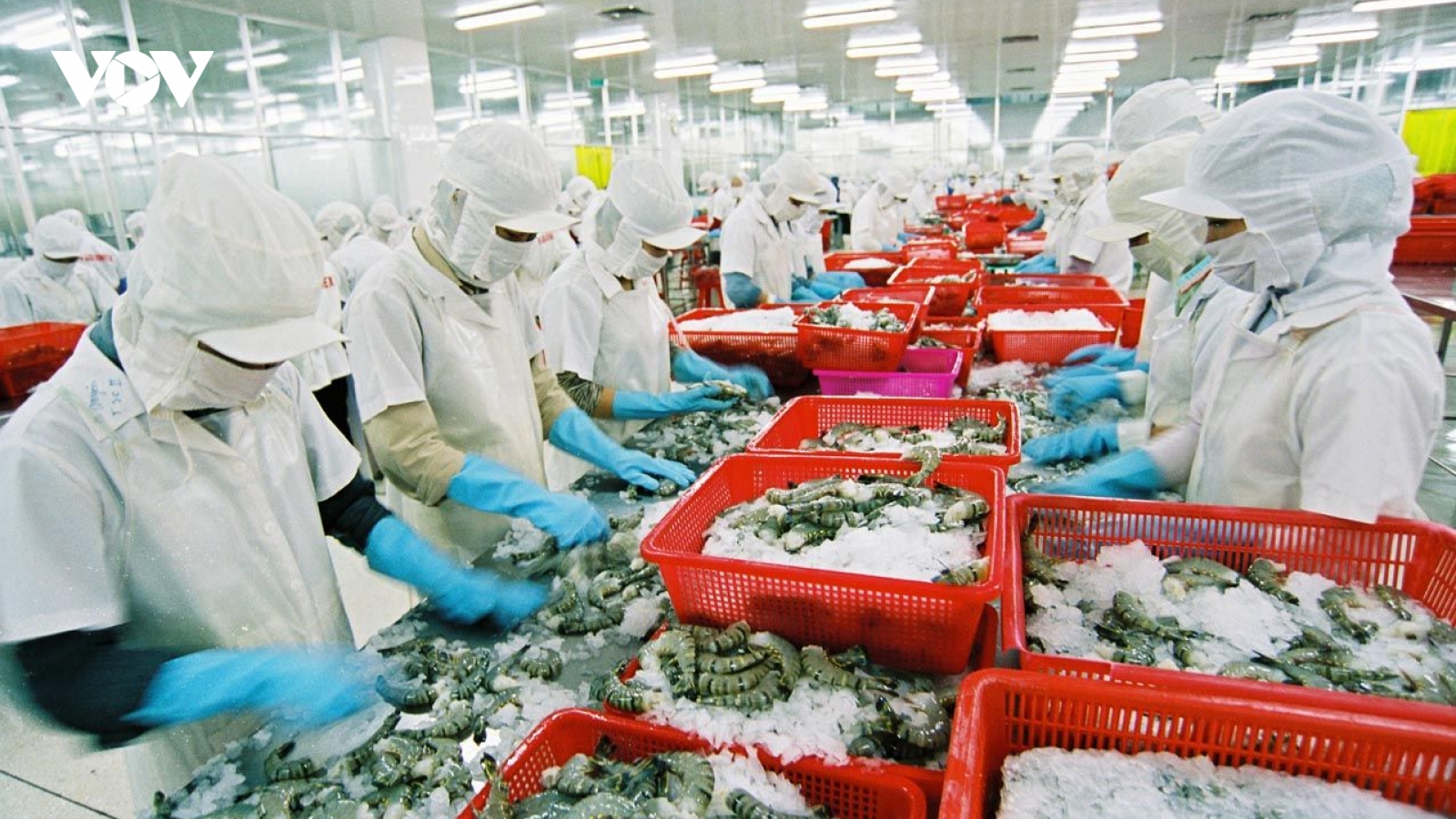 Trung Quốc trở thành thị trường nhập khẩu lớn nhất của thủy sản Việt Nam