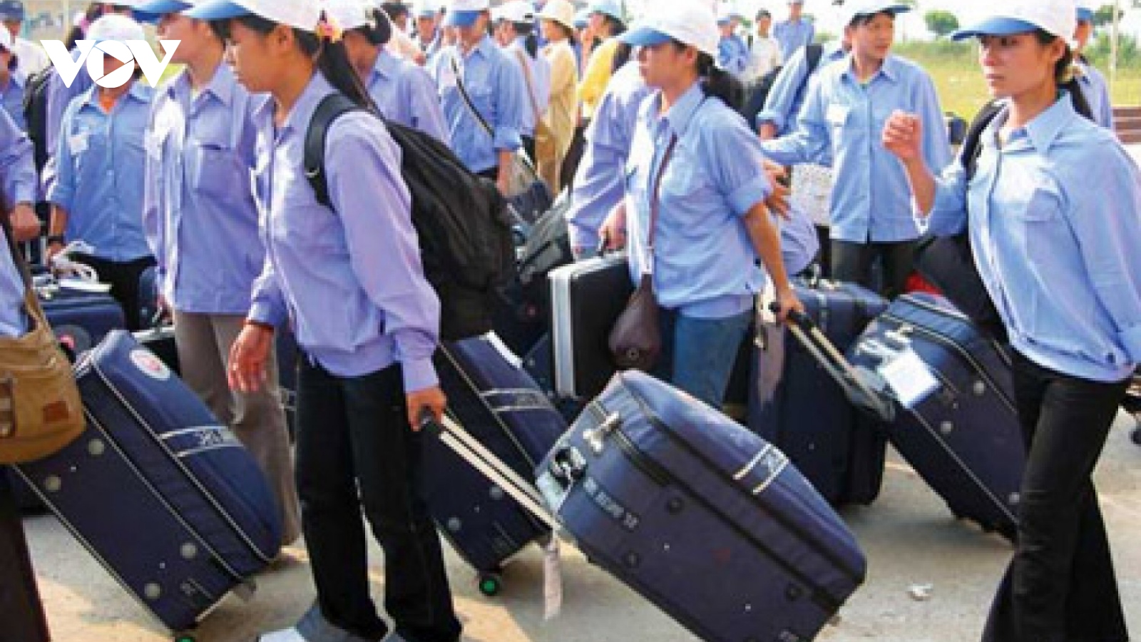 Vietnamese labourers to enjoy greater protection when working abroad