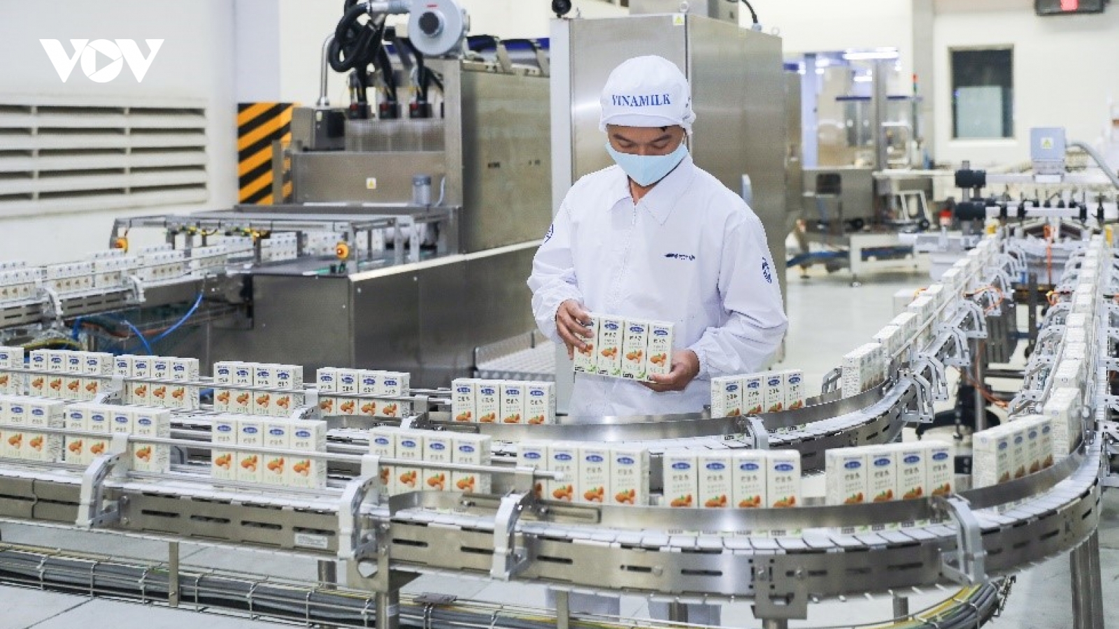 Tin vui đầu năm mới của ngành Sữa: Vinamilk xuất lô hàng lớn đi Trung Quốc