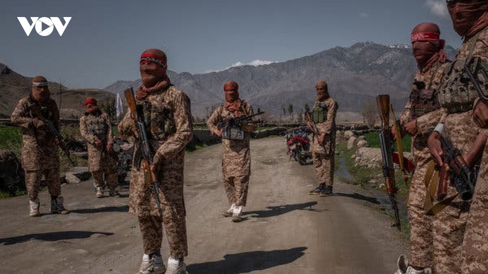Afghanistan tuyên bố phá vỡ âm mưu ám sát đại diện ngoại giao Mỹ của IS