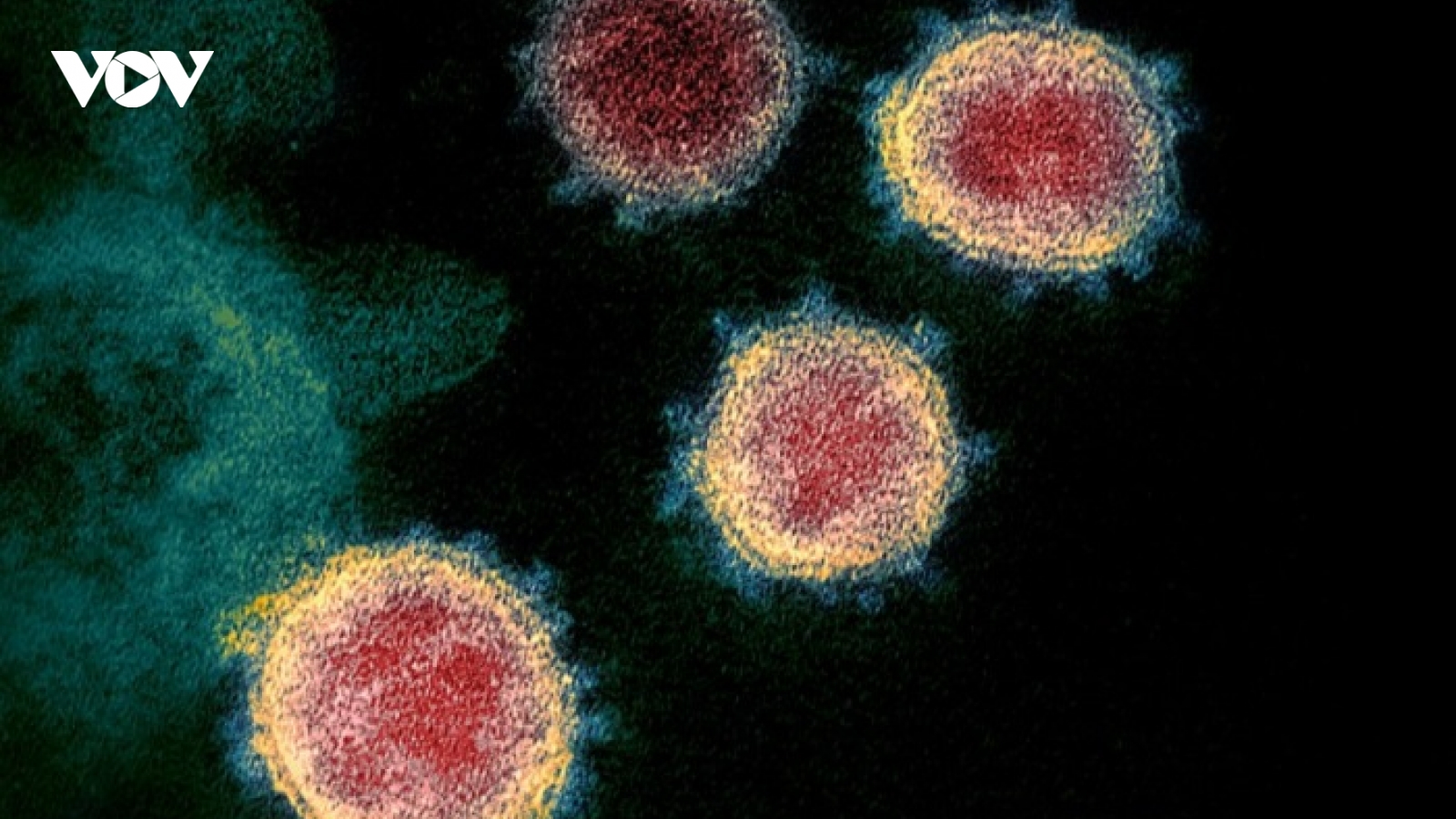Hy Lạp ghi nhận 26 trường hợp nhiễm biến thể mới của virus SARS-CoV-2