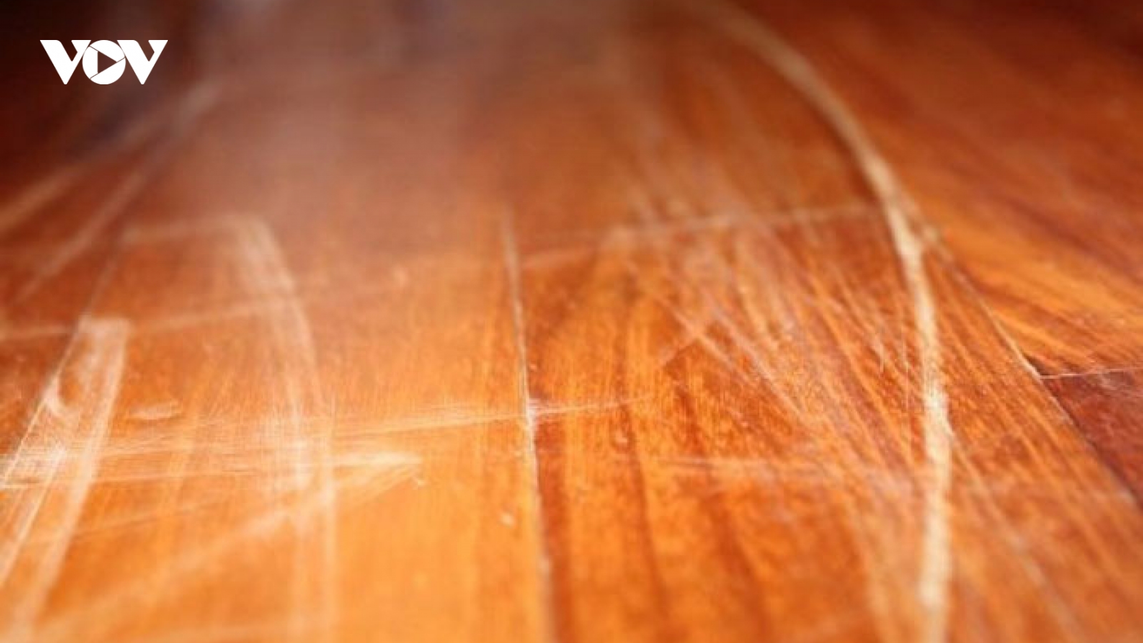 Mẹo giữ sàn gỗ luôn đẹp tự nhiên để đón chào năm mới