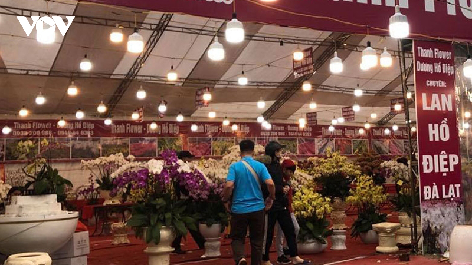 Hanoi poised to host 89 flower markets in build up to Tet 