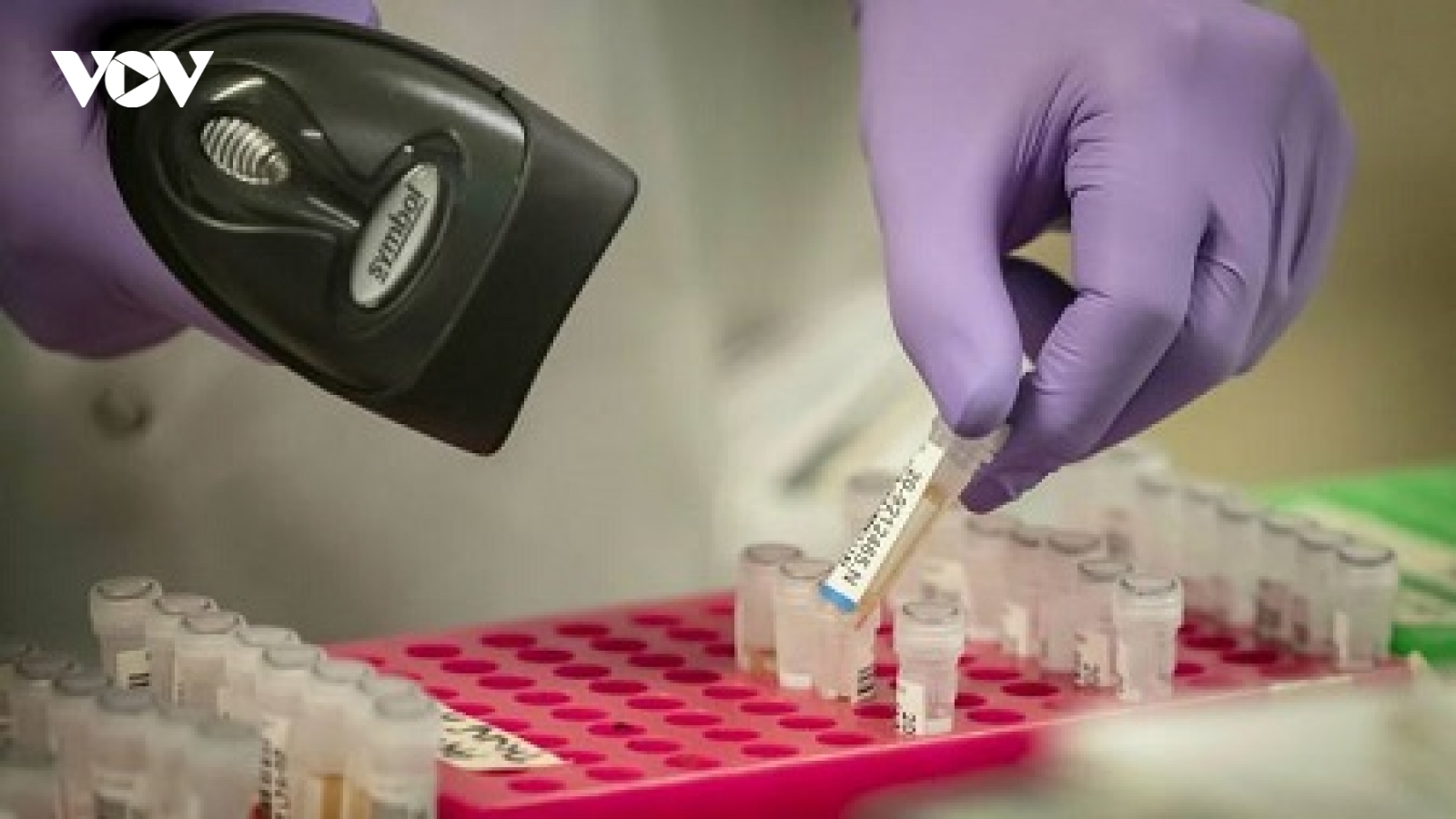 Biến thể mới của virus nCoV ở Anh đáng lo ngại như thế nào?