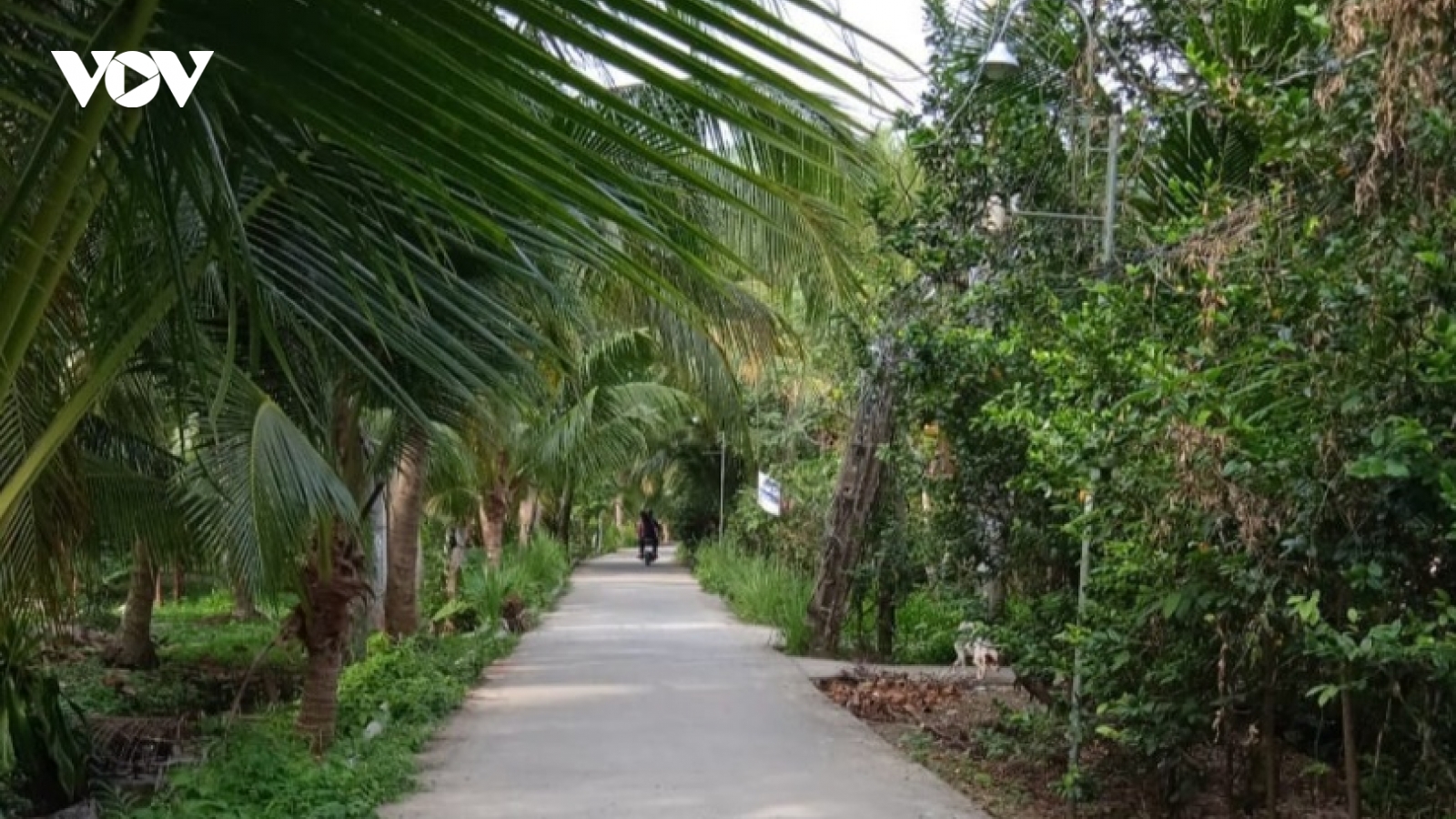 Đâm trọng thương 2 người khi đi đòi nợ