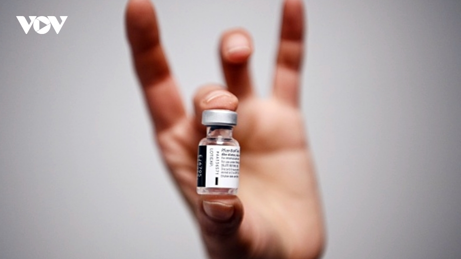 EU bác thông tin ưu tiên phân bổ vaccine ngừa Covid-19 cho Đức