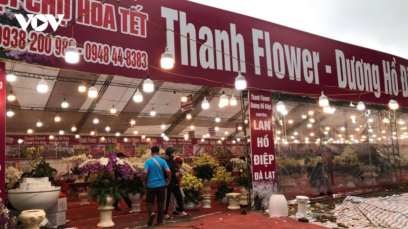 Hà Nội sẽ tổ chức 89 điểm chợ hoa Xuân Tết Tân Sửu 2021 