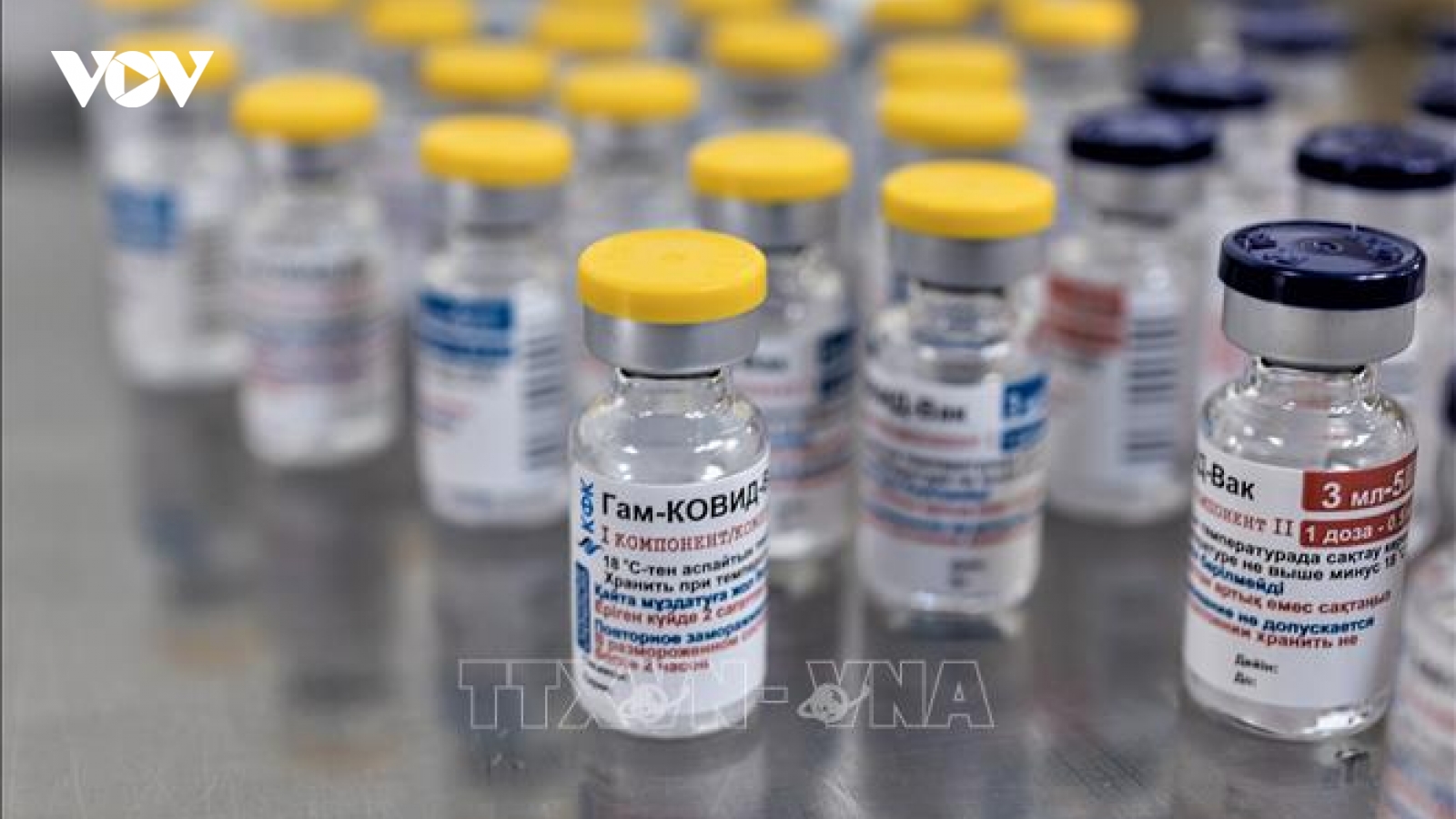 WHO cảnh báo hậu quả của việc tranh giành “miếng bánh vaccine”