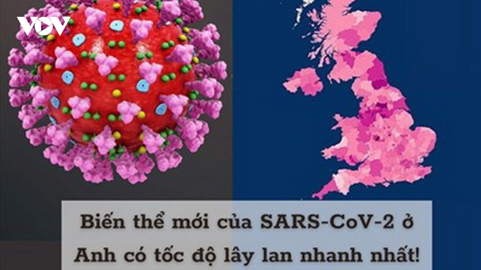 Biến thể SARS-CoV-2: Có đề kháng với các vaccine hiện nay không?