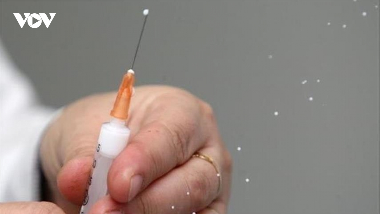 EU mở rộng hỗ trợ các quốc gia láng giềng tiếp cận vaccine Covid-19