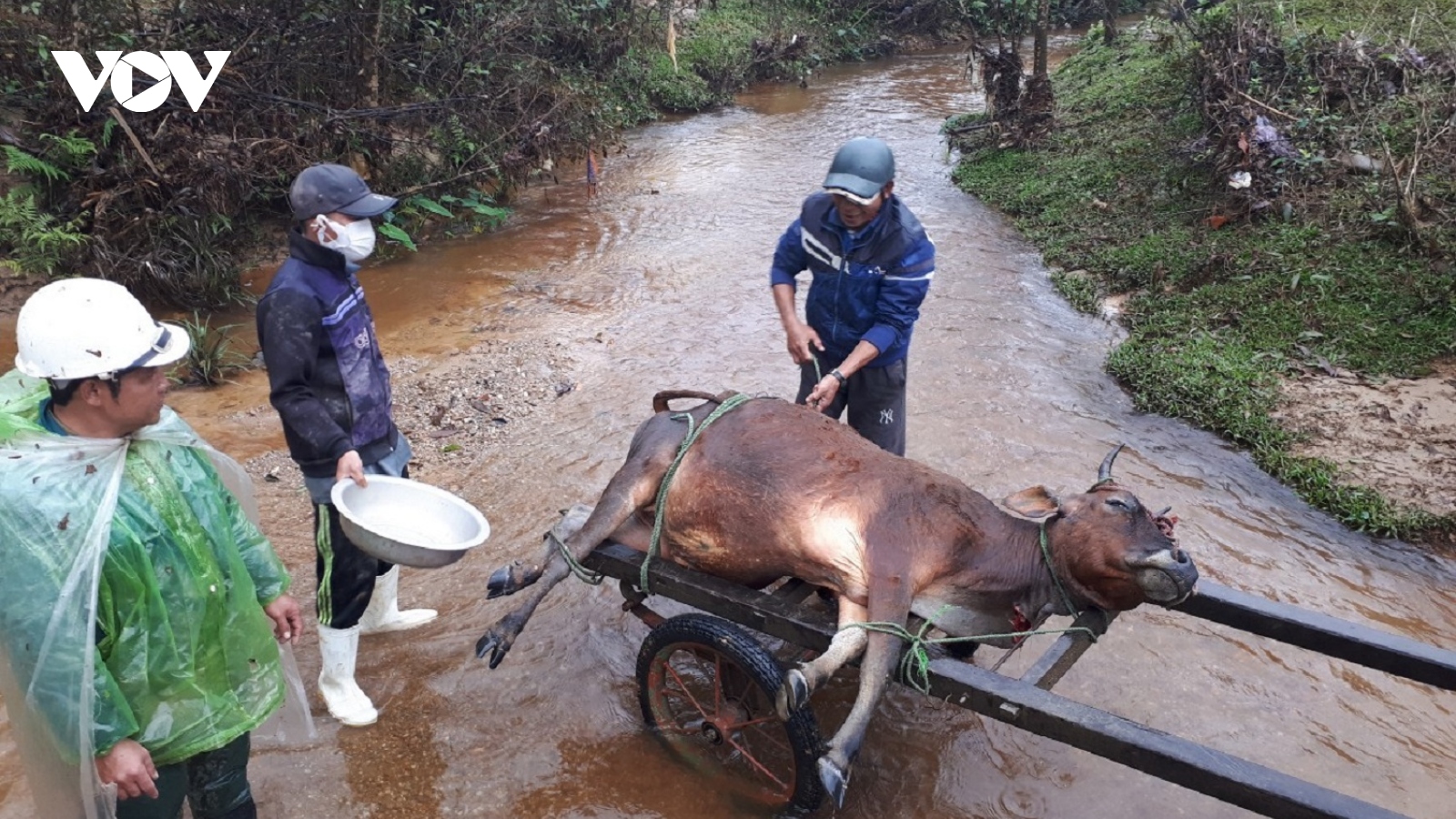 Miền Trung rét chưa từng thấy