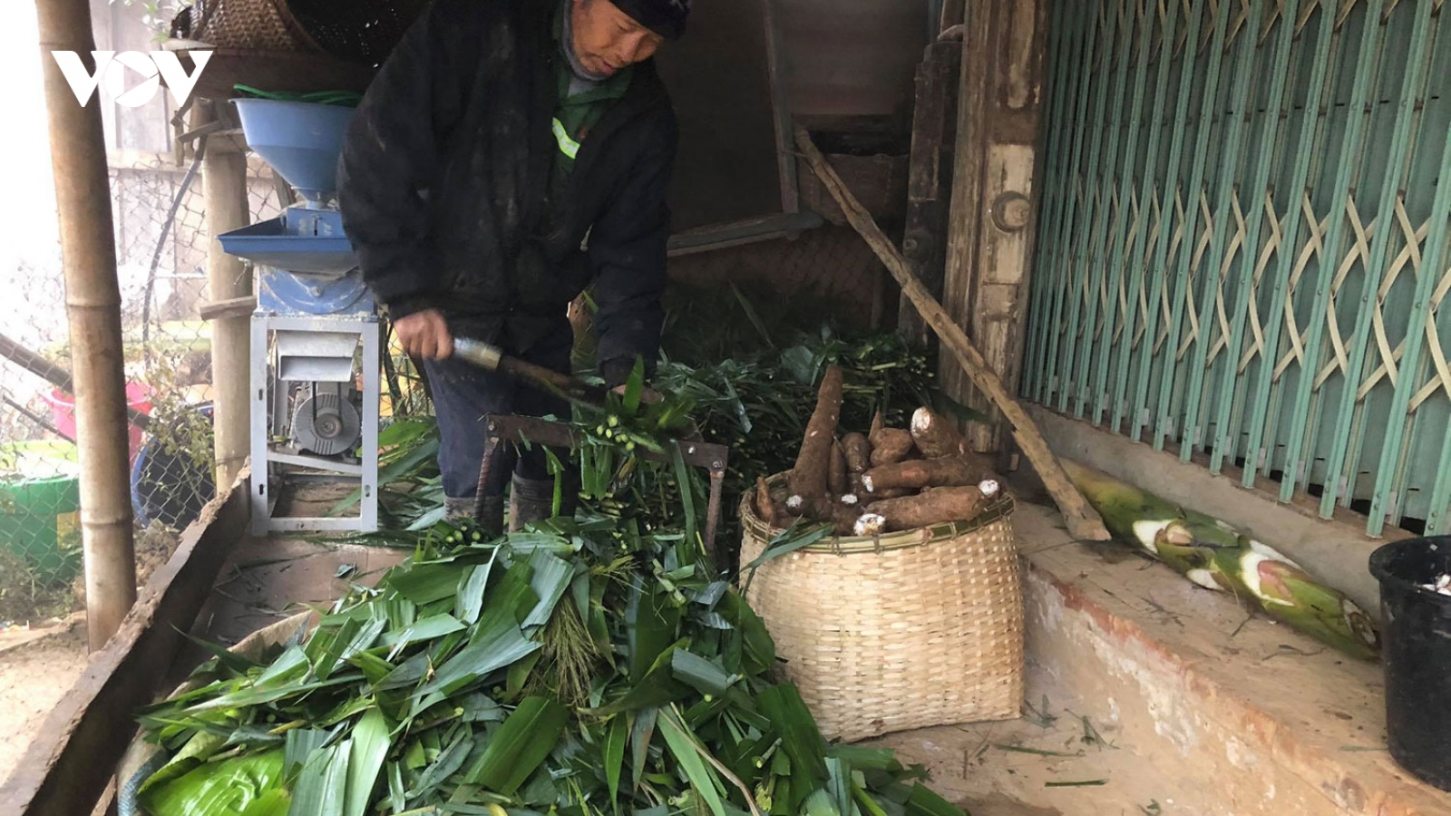 Gần 400 con gia súc ở Sơn La bị chết do rét đậm, rét hại