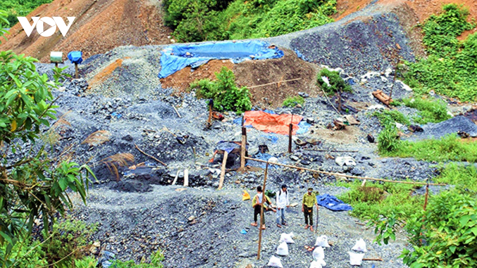 Quảng Nam sẽ đánh sập các hầm vàng trong Vườn quốc gia Sông Thanh
