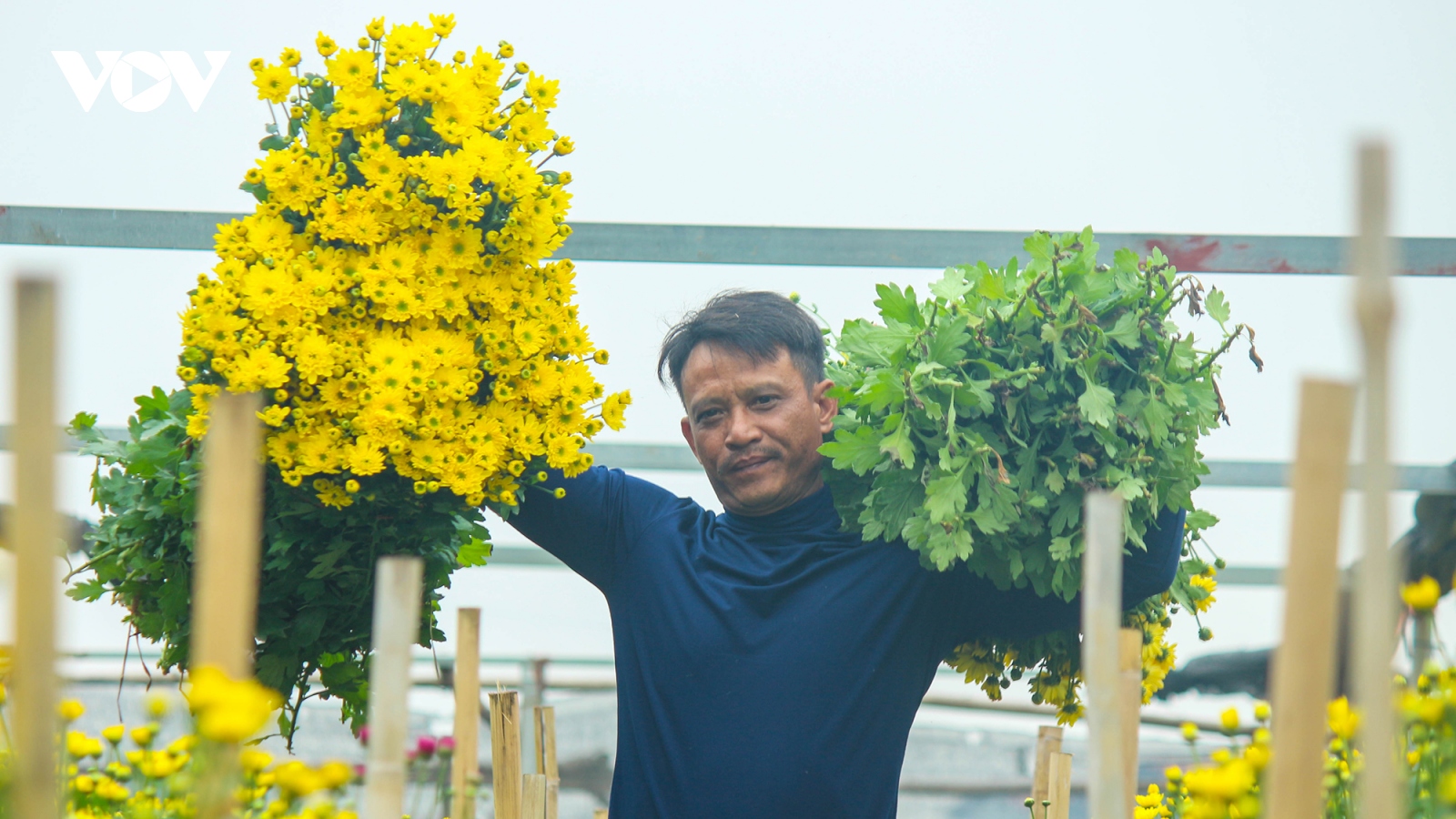 Làng hoa Tây Tựu đã sẵn sàng phục vụ cho dịp Tết Nguyên Đán