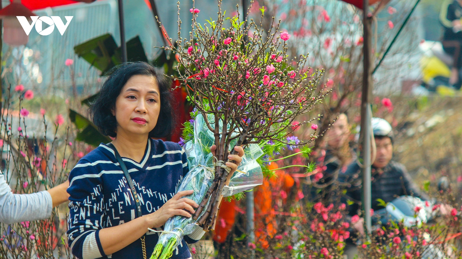 Chợ hoa Quảng Bá nhộn nhịp người mua đào chơi Tết