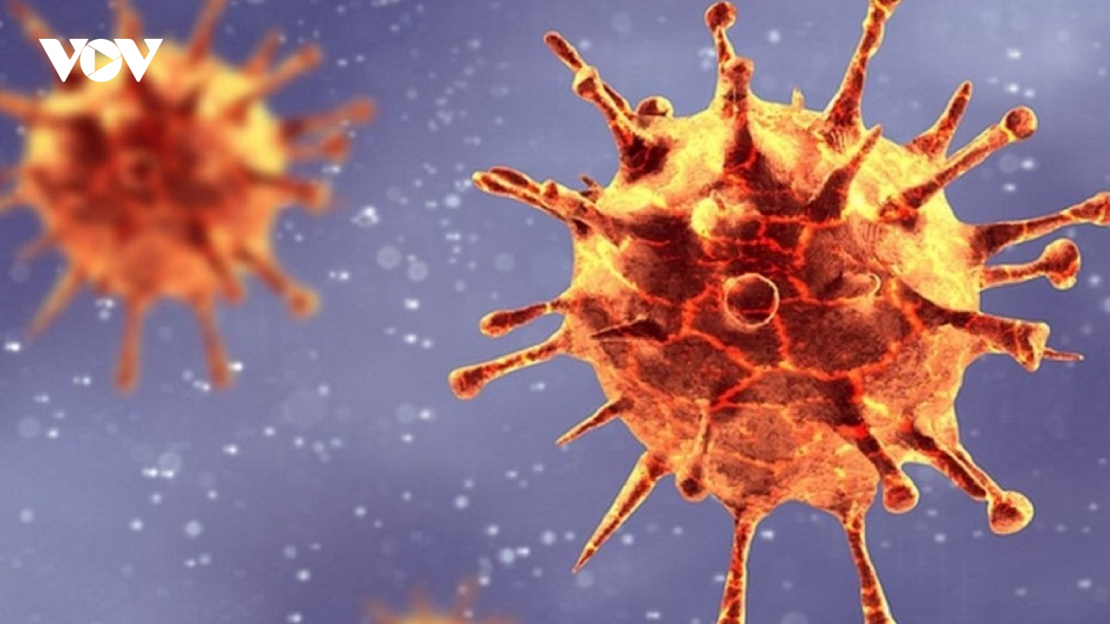 Phát hiện biến chủng mới của virus SARS-CoV-2 có thể làm “vô hiệu hóa” xét nghiệm PCR