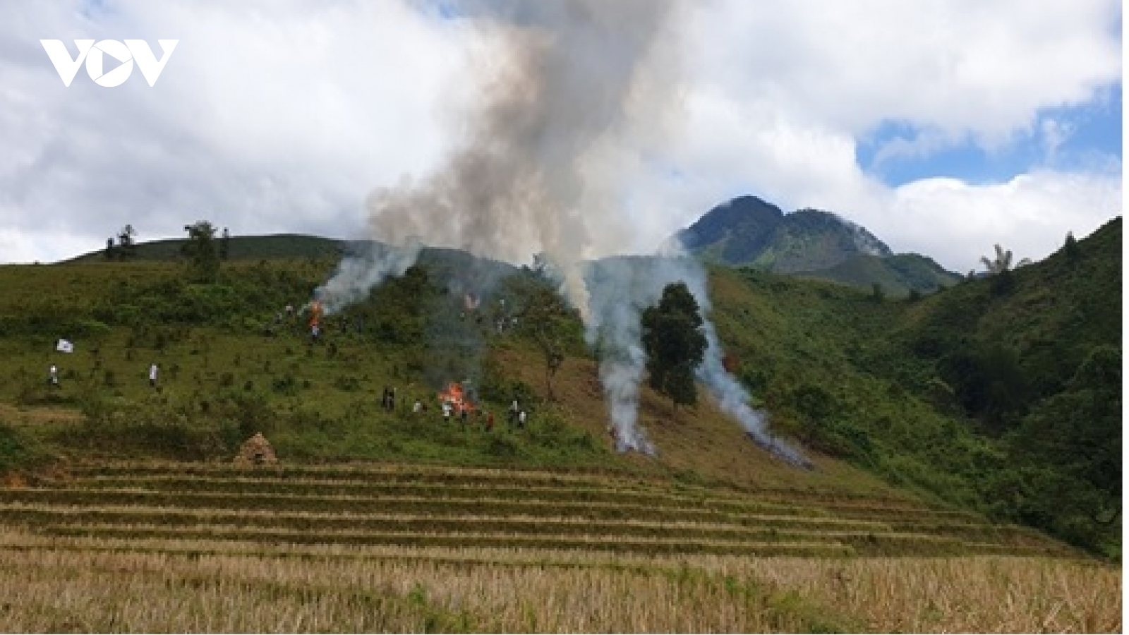 Lào Cai tăng cường phòng chống cháy rừng vào mùa khô