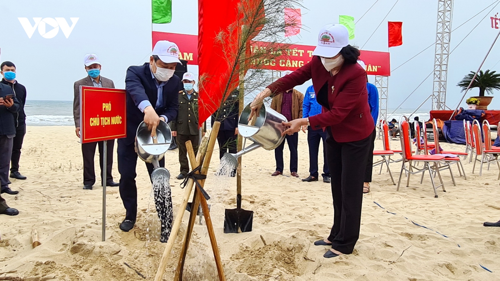 Phó Chủ tịch nước phát động Tết trồng cây tại Quảng Bình