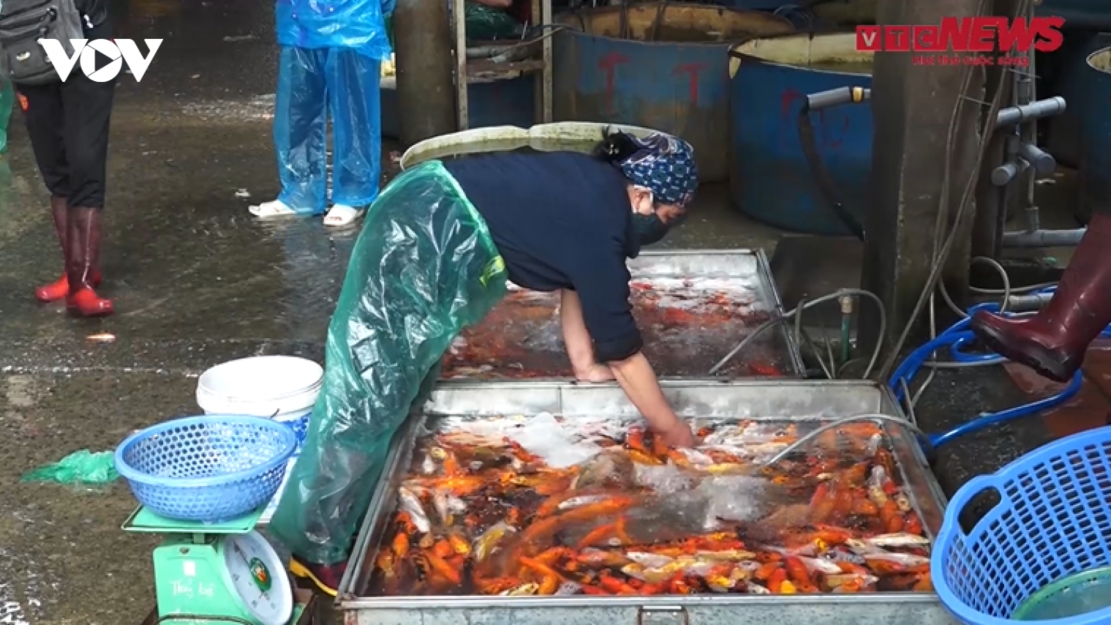 Tấp nập người mua bán tại chợ cá lớn nhất Hà Nội trước ngày ông Công ông Táo
