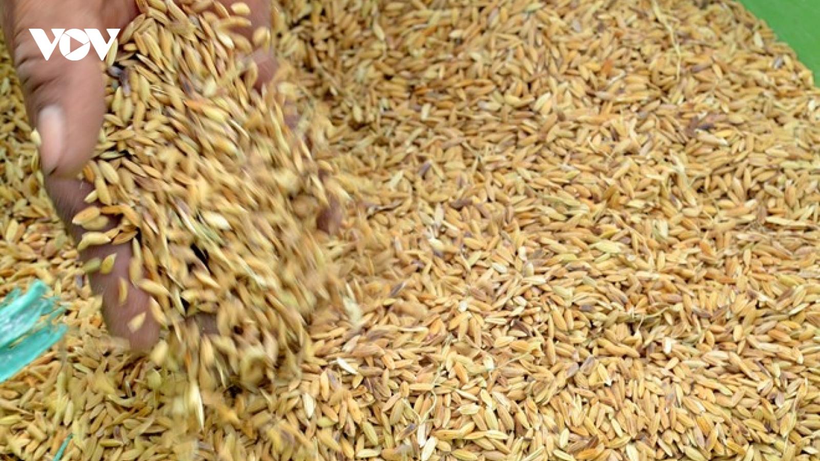 Hỗ trợ các địa phương khắc phục hậu quả sau thiên tai
