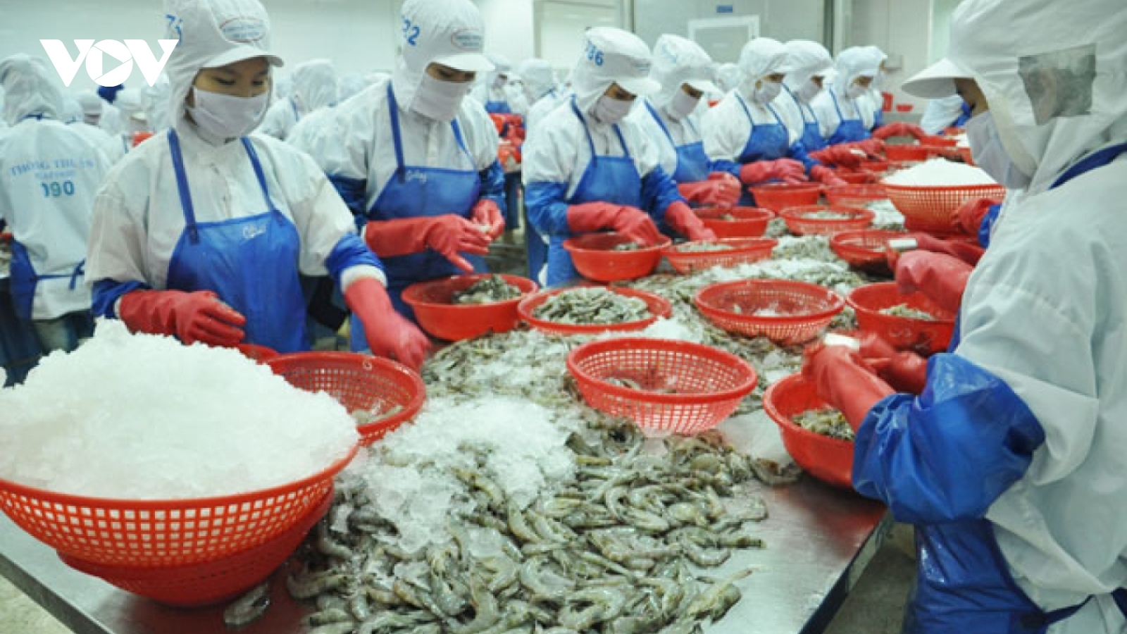 Aquatic exports poised to rake in US$9.4 billion this year 