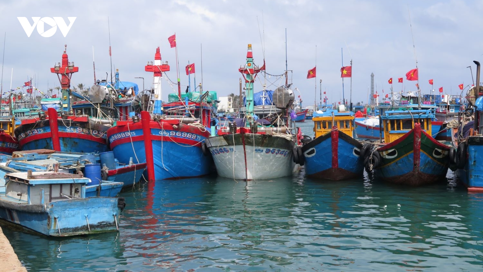 Ngư dân Lý Sơn hối hả cập cảng đón Tết