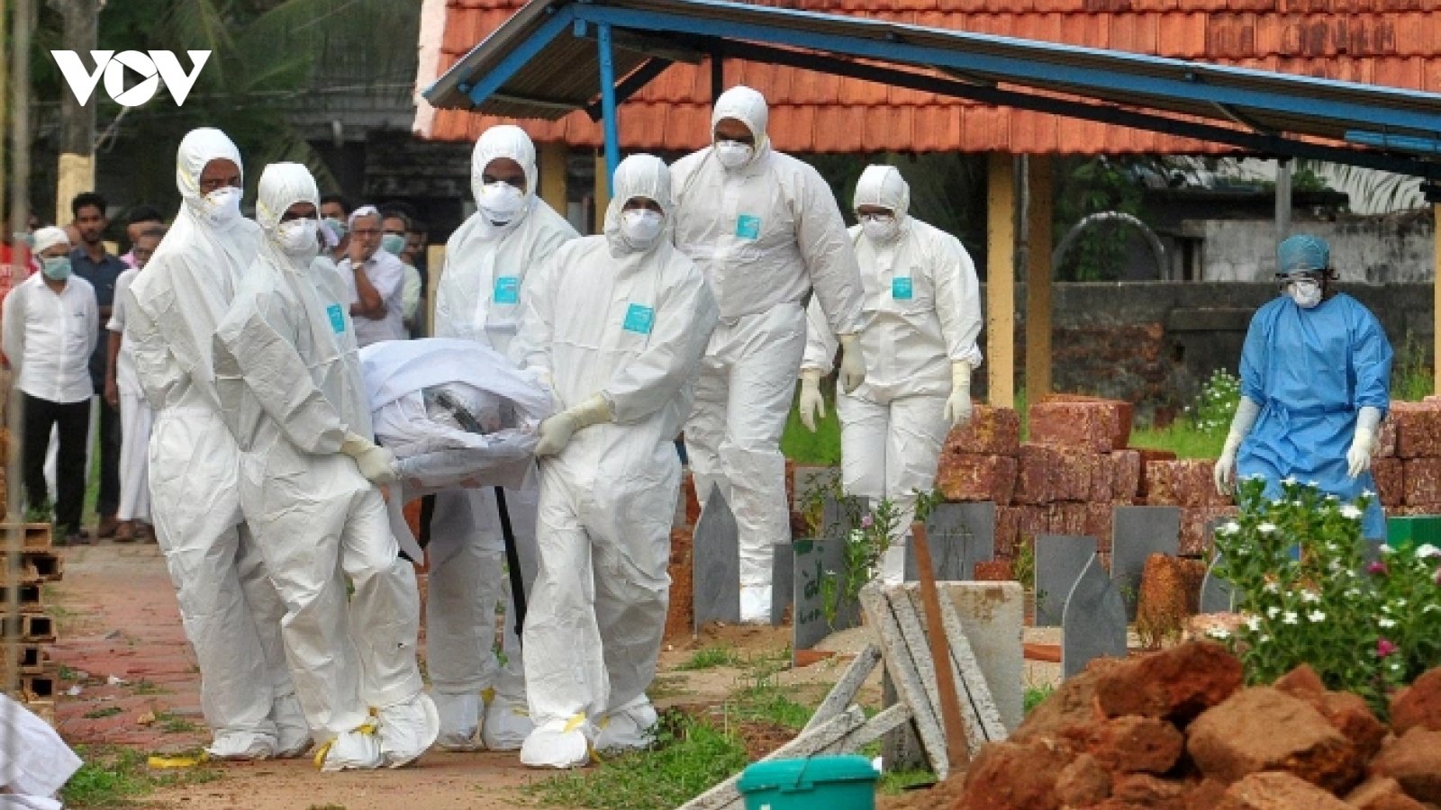 Cảnh báo virus Nipah gây phù não và tỷ lệ tử vong cao gấp 75 lần COVID-19
