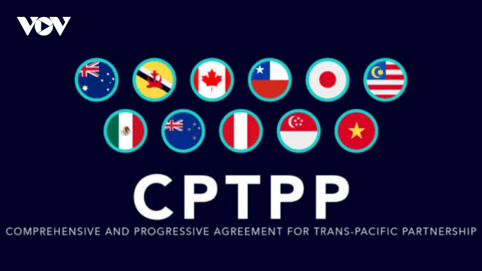 Việt Nam sẵn sàng chia sẻ thông tin, kinh nghiệm tham gia CPTPP với Anh
