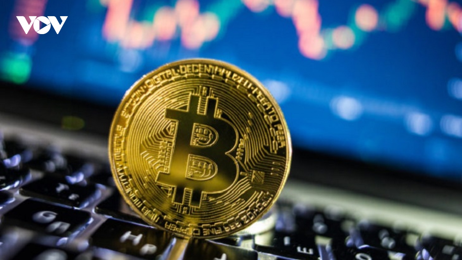 Tỷ phú Elon Musk đầu tư lớn vào "cuộc chơi" Bitcoin