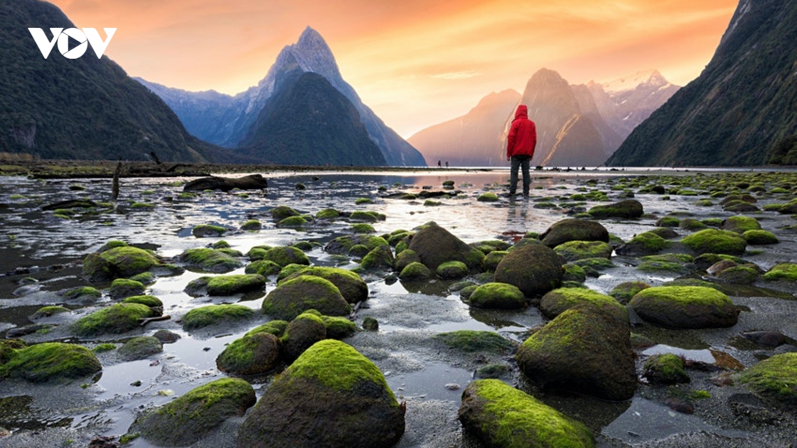 New Zealand dự kiến đóng cửa du lịch quốc tế đến hết năm 2021