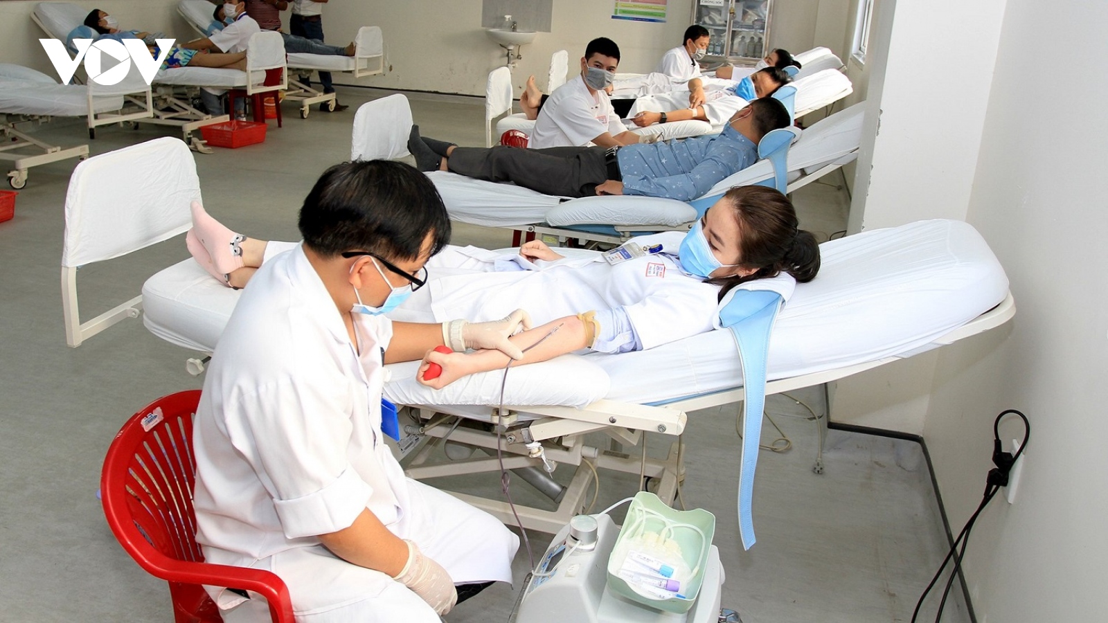 Hàng trăm y, bác sĩ ở Thừa Thiên Huế hiến máu cứu người
