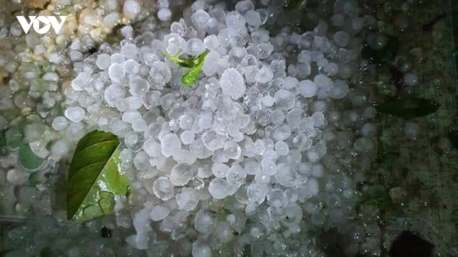 Mưa đá, giông lốc có thể xảy ra dịp cận Tết
