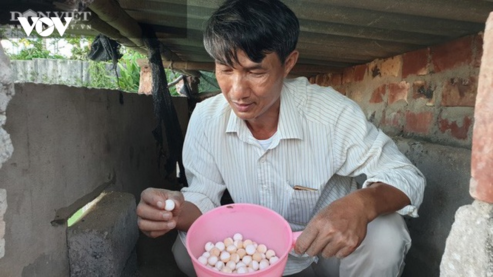 Nuôi toàn con đặc sản, lão nông Nam Định bỏ túi hàng trăm triệu đồng/năm