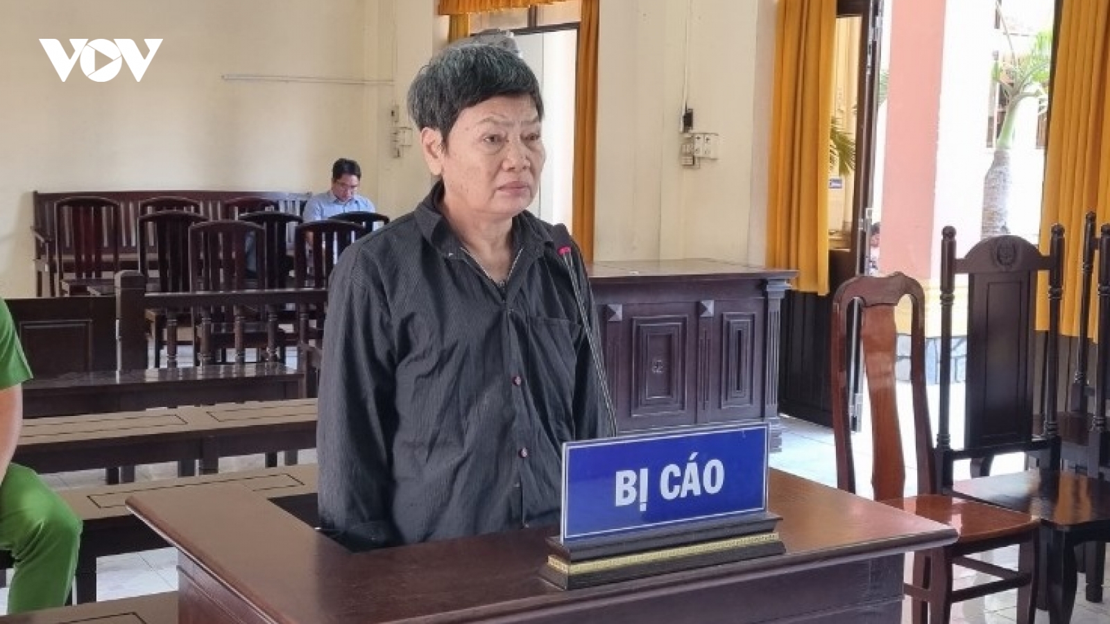 Con bị bệnh tâm thần, mẹ giết con rồi tự tử không thành  