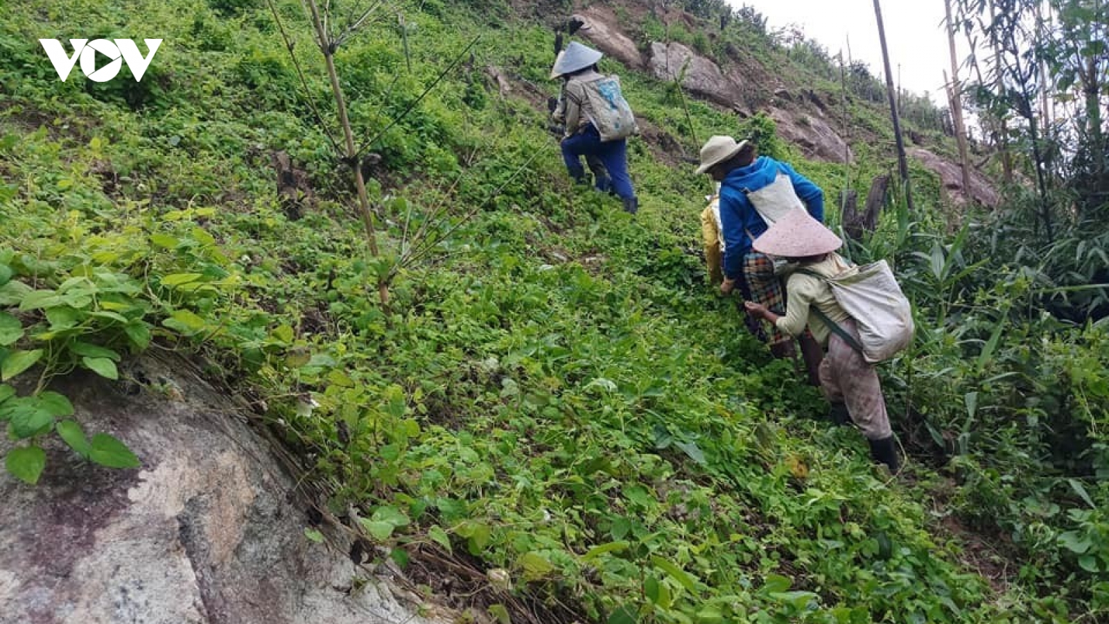 HTX cộng đồng phụ nữ Đăk Viên – Kon Tum: Điểm tựa thoát nghèo của phụ nữ Xê Đăng