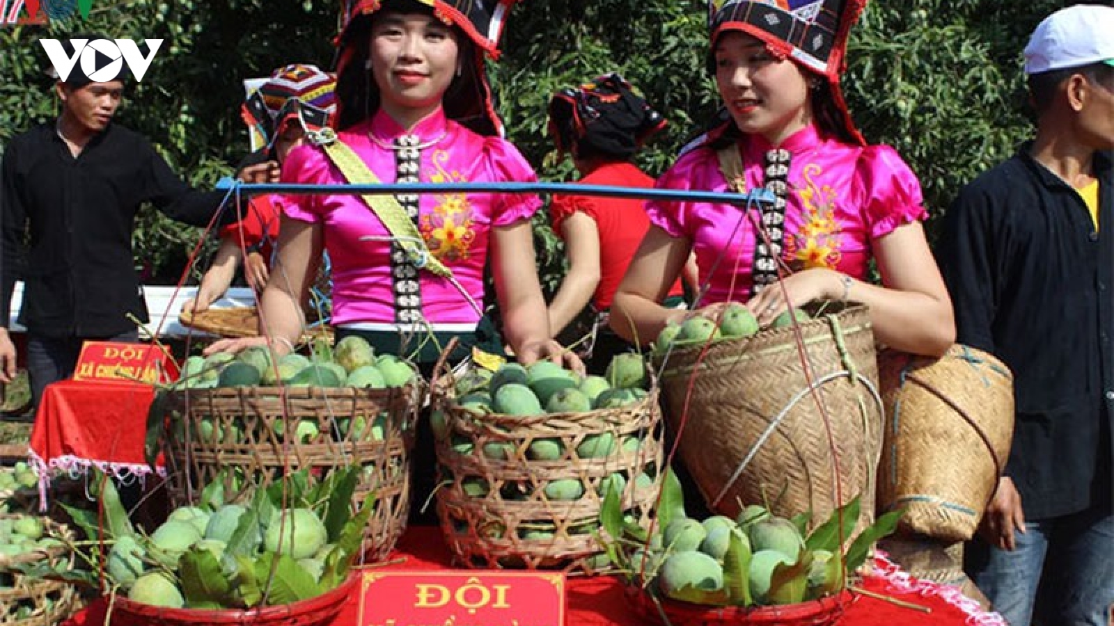 Sơn La quyết tâm không để phải “giải cứu” nông sản