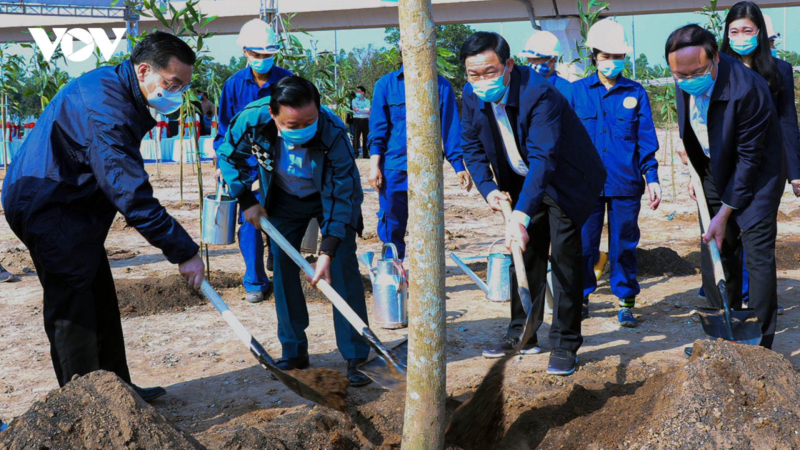 Trồng cây để "Hà Nội trở thành thành phố 4 mùa hoa nở"