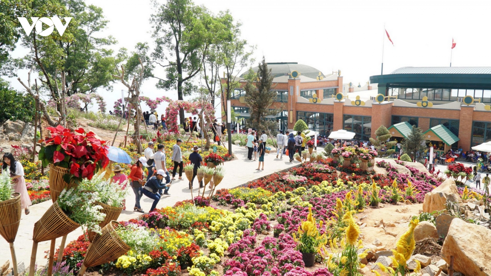 Tây Ninh không tổ chức bắn pháo hoa đêm Giao thừa