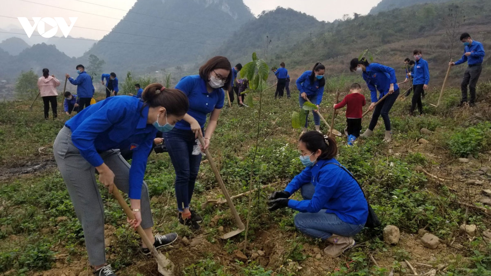 Khởi động Tháng Thanh niên và Tết trồng cây “Đời đời nhớ ơn Bác Hồ”